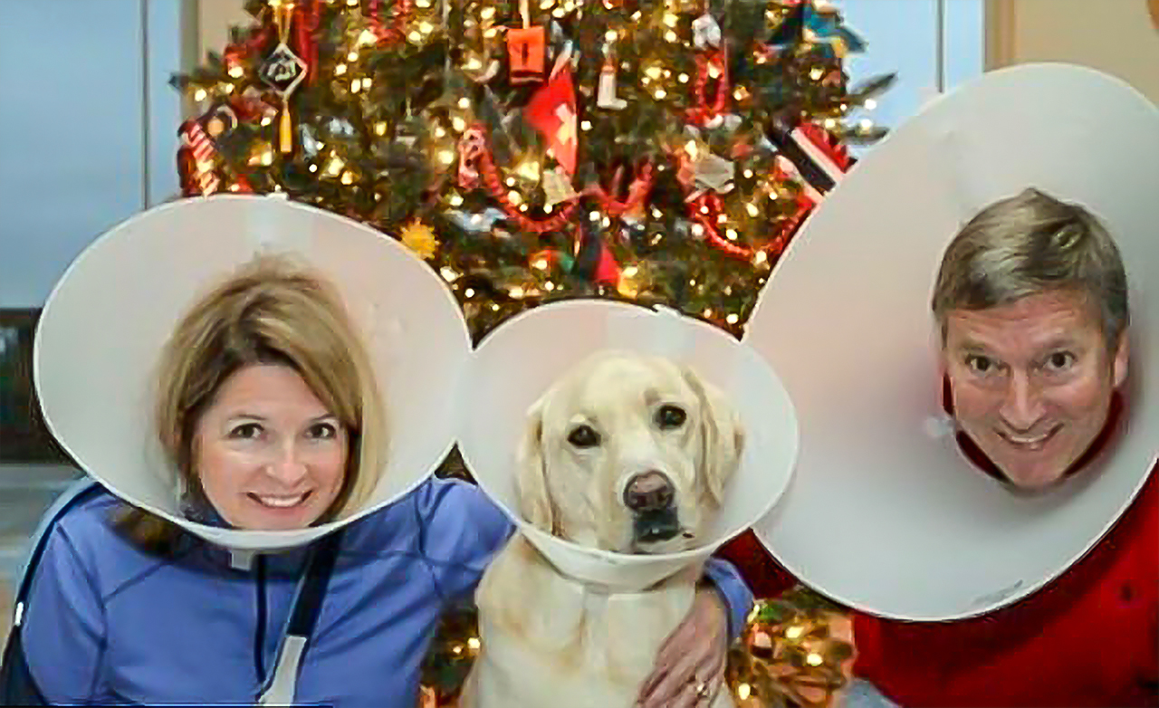 Meet the Pack Pawsitive Results Training, LLC