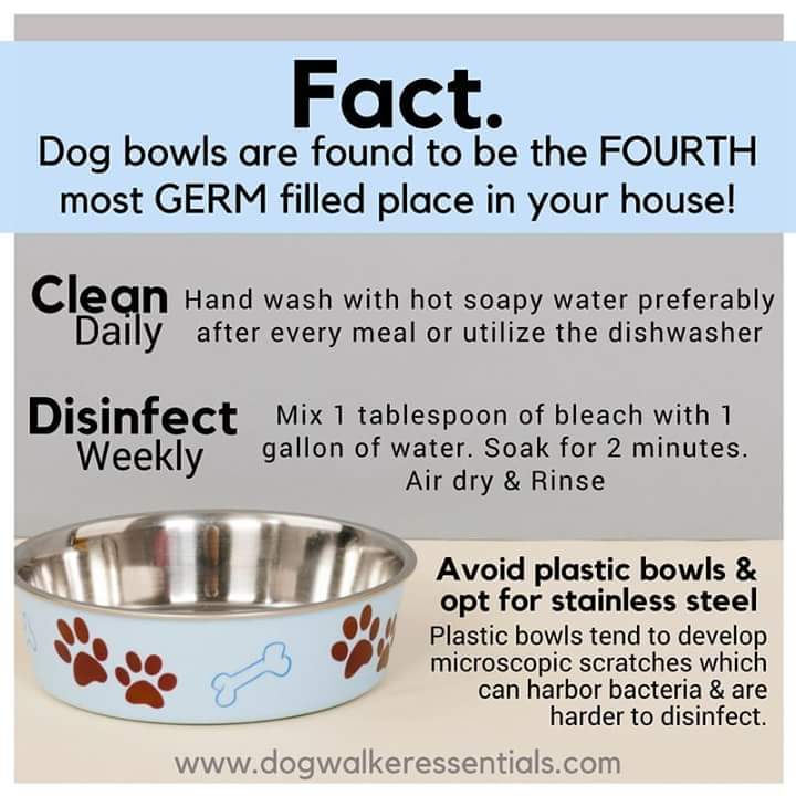 FB_IMG_1528305292455